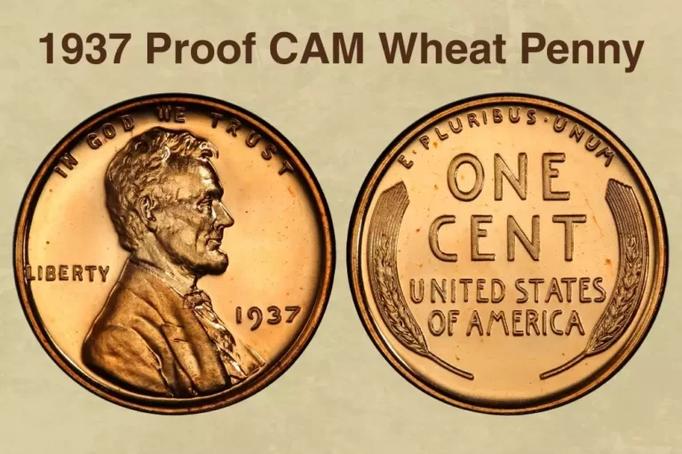 Side-by-side comparison of 1937 Lincoln Wheat Penny business strike versus 1937 Proof Cameo with mirror fields and frosted devices
