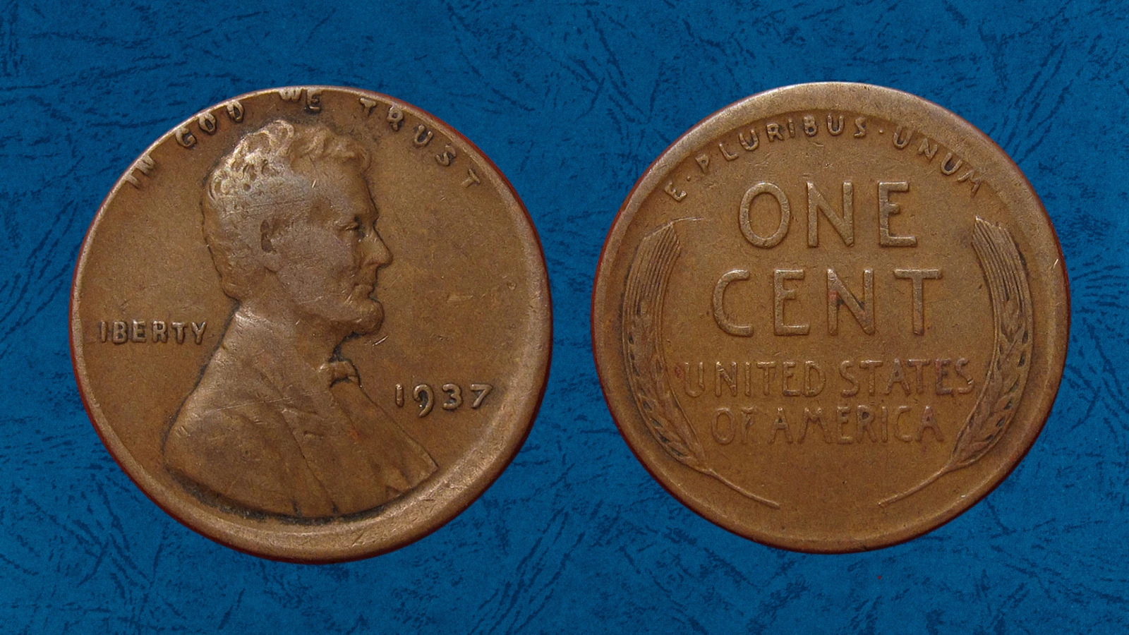 1937 wheat penny broadstrike error showing expanded rim and distorted spread-out Lincoln design without collar